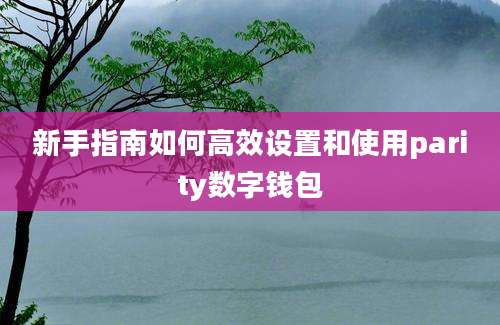 新手指南如何高效设置和使用parity数字钱包