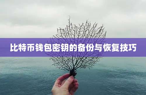 比特币钱包密钥的备份与恢复技巧