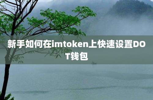 新手如何在imtoken上快速设置DOT钱包