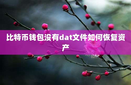 比特币钱包没有dat文件如何恢复资产