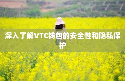 深入了解VTC钱包的安全性和隐私保护