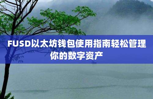 FUSD以太坊钱包使用指南轻松管理你的数字资产