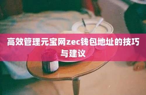 高效管理元宝网zec钱包地址的技巧与建议