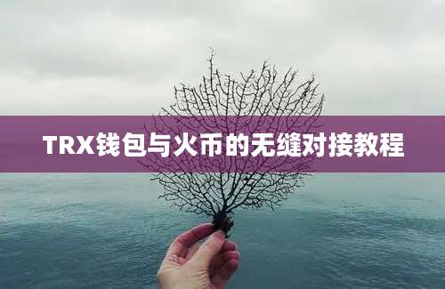 TRX钱包与火币的无缝对接教程