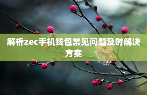 解析zec手机钱包常见问题及时解决方案