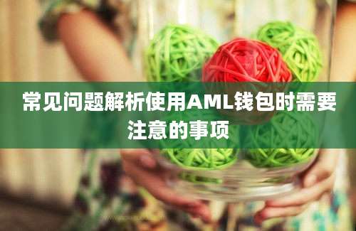 常见问题解析使用AML钱包时需要注意的事项