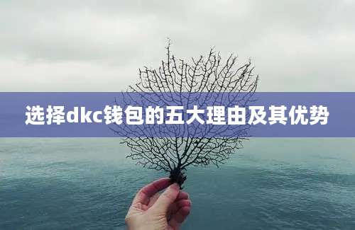 选择dkc钱包的五大理由及其优势