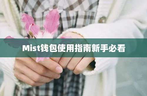 Mist钱包使用指南新手必看