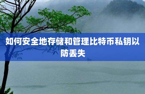 如何安全地存储和管理比特币私钥以防丢失