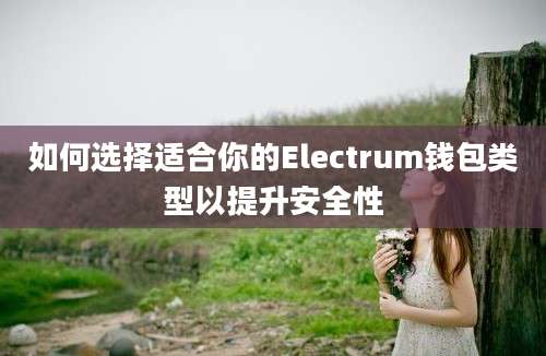 如何选择适合你的Electrum钱包类型以提升安全性