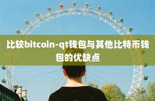 比较bitcoin-qt钱包与其他比特币钱包的优缺点