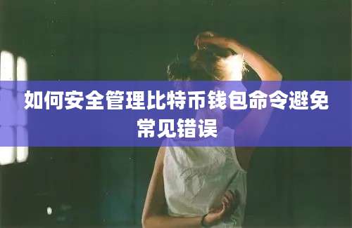 如何安全管理比特币钱包命令避免常见错误