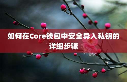 如何在Core钱包中安全导入私钥的详细步骤