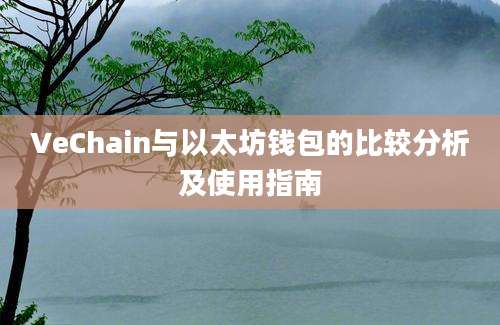 VeChain与以太坊钱包的比较分析及使用指南