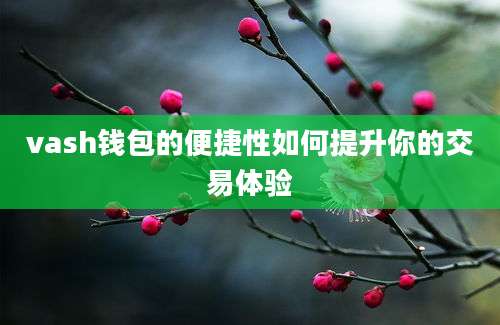 vash钱包的便捷性如何提升你的交易体验