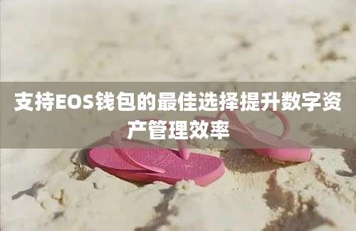 支持EOS钱包的最佳选择提升数字资产管理效率