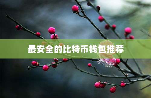 最安全的比特币钱包推荐