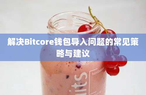 解决Bitcore钱包导入问题的常见策略与建议