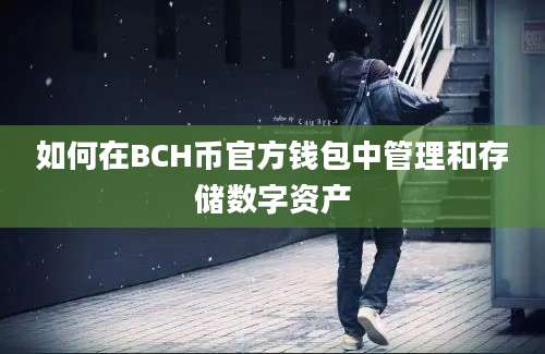 如何在BCH币官方钱包中管理和存储数字资产