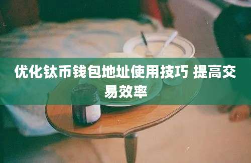 优化钛币钱包地址使用技巧 提高交易效率