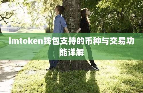 imtoken钱包支持的币种与交易功能详解