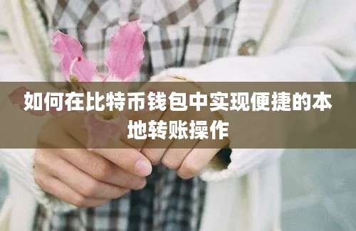 如何在比特币钱包中实现便捷的本地转账操作