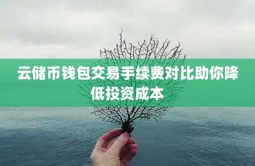 云储币钱包交易手续费对比助你降低投资成本