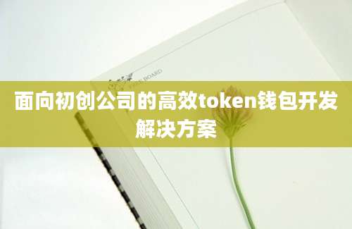 面向初创公司的高效token钱包开发解决方案