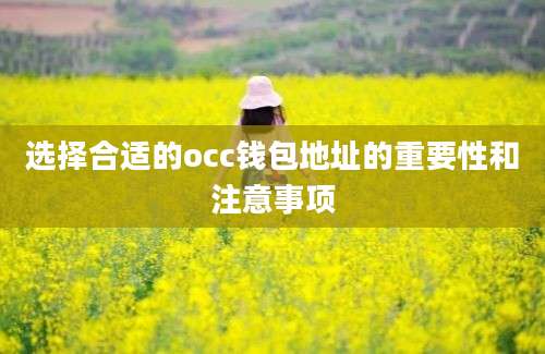 选择合适的occ钱包地址的重要性和注意事项