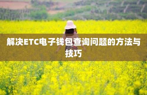 解决ETC电子钱包查询问题的方法与技巧