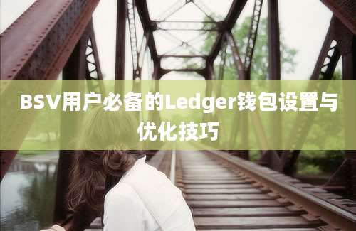 BSV用户必备的Ledger钱包设置与优化技巧