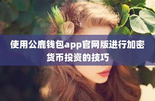 使用公鹿钱包app官网版进行加密货币投资的技巧