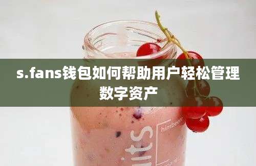 s.fans钱包如何帮助用户轻松管理数字资产