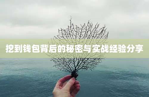 挖到钱包背后的秘密与实战经验分享