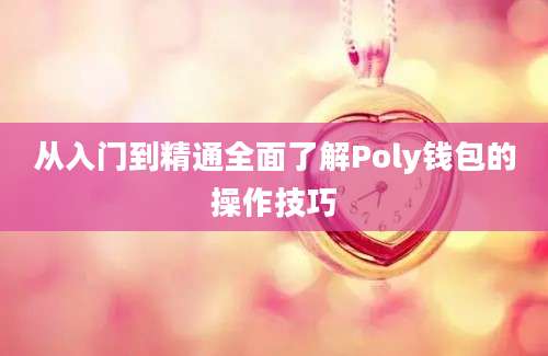 从入门到精通全面了解Poly钱包的操作技巧