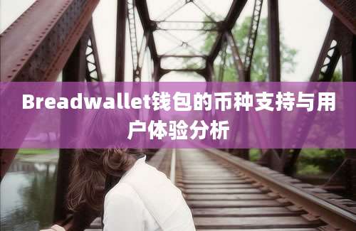 Breadwallet钱包的币种支持与用户体验分析