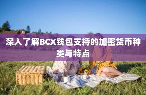 深入了解BCX钱包支持的加密货币种类与特点