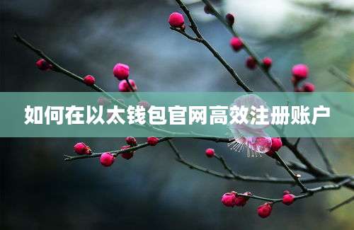 如何在以太钱包官网高效注册账户