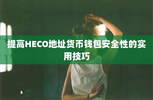 提高HECO地址货币钱包安全性的实用技巧