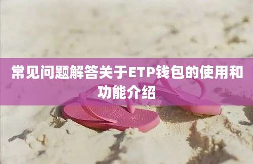 常见问题解答关于ETP钱包的使用和功能介绍