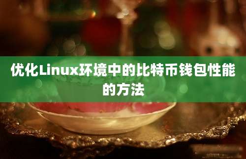 优化Linux环境中的比特币钱包性能的方法