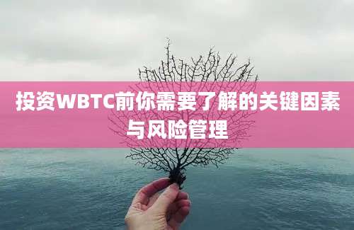 投资WBTC前你需要了解的关键因素与风险管理