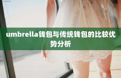 umbrella钱包与传统钱包的比较优势分析