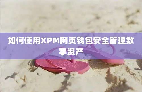 如何使用XPM网页钱包安全管理数字资产