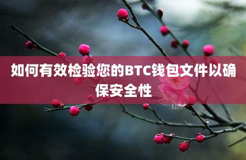 如何有效检验您的BTC钱包文件以确保安全性