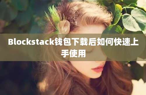 Blockstack钱包下载后如何快速上手使用