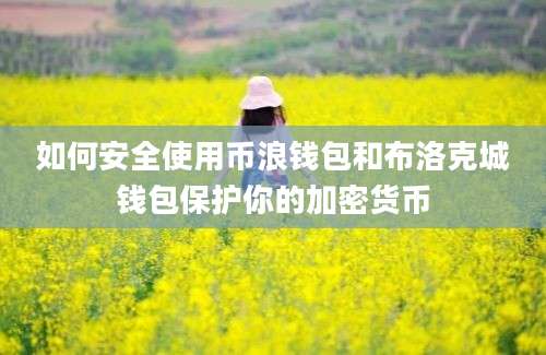 如何安全使用币浪钱包和布洛克城钱包保护你的加密货币