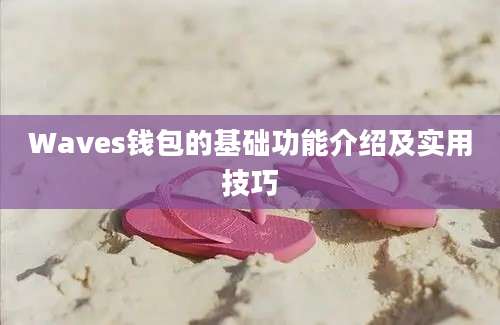 Waves钱包的基础功能介绍及实用技巧