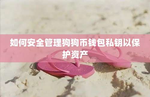 如何安全管理狗狗币钱包私钥以保护资产