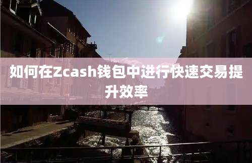 如何在Zcash钱包中进行快速交易提升效率